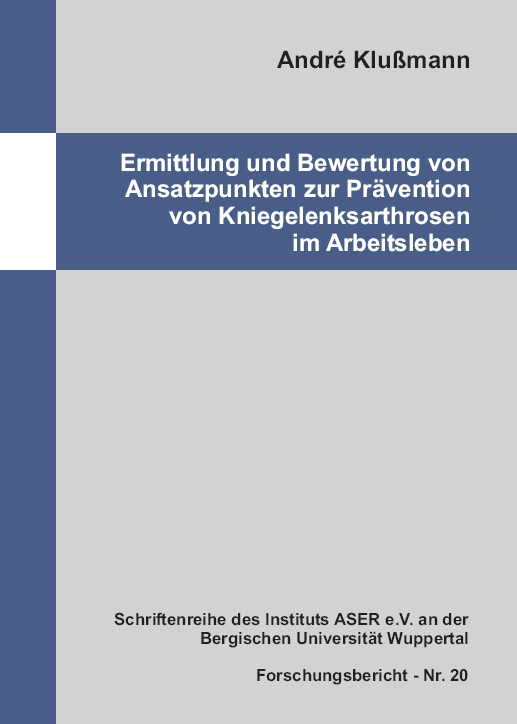 20. ASER-Forschungsbericht